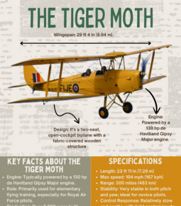 Tiger Moth Vintage Plane