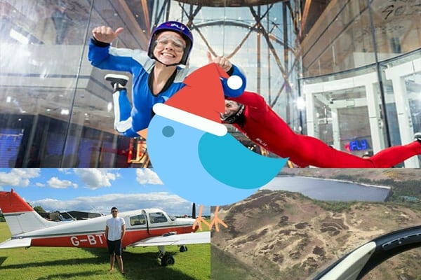 Fly Like an Early Bird: Our Christmas 2020 Preview