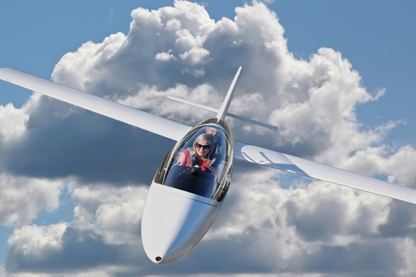 Gold Essex Gliding Flight in Essex